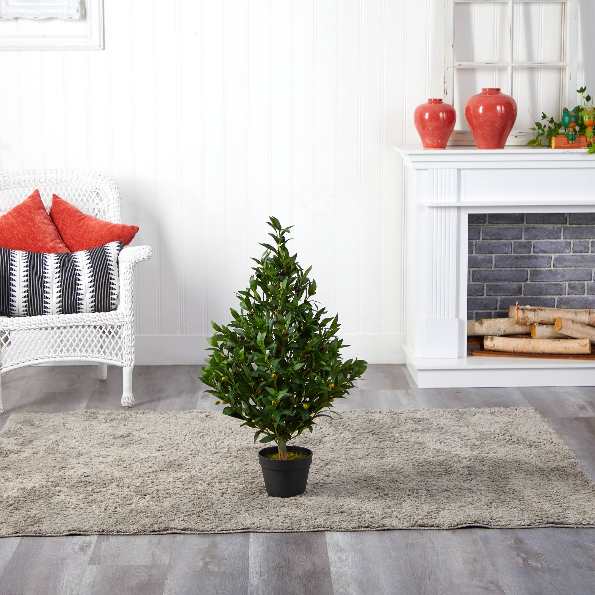 3ft. Potted Olive Cone Topiary Tree